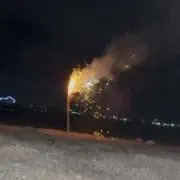 とっしーの画像
