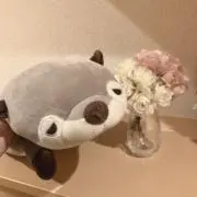 とくちゃの画像