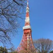 たき