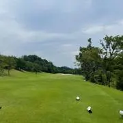 ナッツの画像