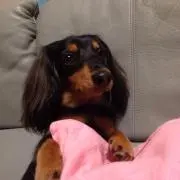 もも
