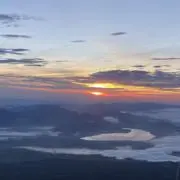 まりもの画像