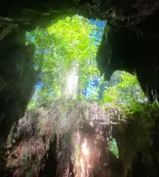 tabizuklの画像