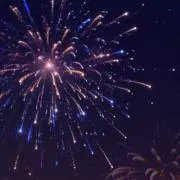 プロフ必読/即購入⭕️の画像