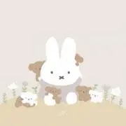 miffy