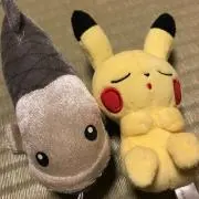 ぴーやんの画像