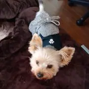 のりぴん(^^♪の画像