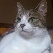 じぅーじ