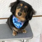即購入◎  希望額コメントくださいの画像