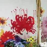 みっちゃんの画像