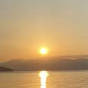 ruru