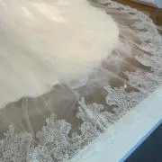 ひまわりの画像