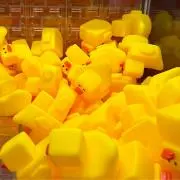 ヤマダの画像