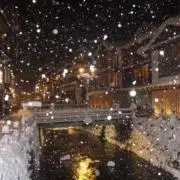 ふじた　フォロー割ありの画像