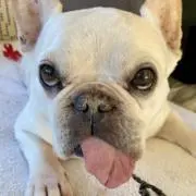 ヒトミ