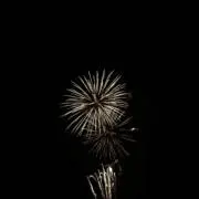 キウイの画像