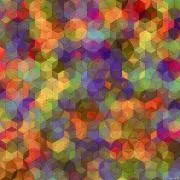ぶっしの画像