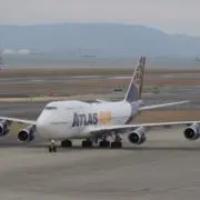 アザラシの画像