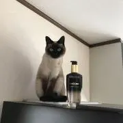 なおえる❤️の画像