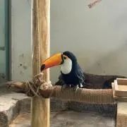 難波揚貴
