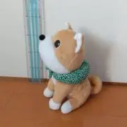 ジャンの画像