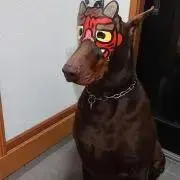 たろうの画像