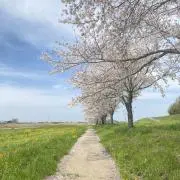 ma☆の画像