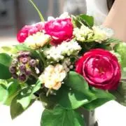 みっきーの画像