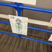 狸の金玉