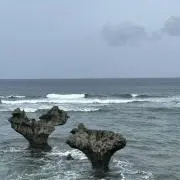 あっちゃんの画像