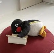 0711kgの画像