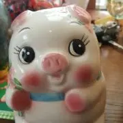 マルちゃんぶーの画像
