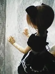 猫子の画像