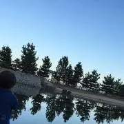 AAA