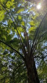 一般ユーザーの画像