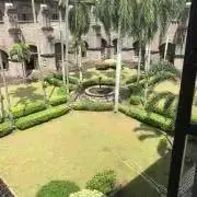masaの画像