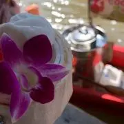 ナッツの画像