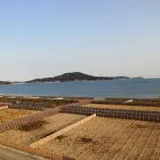 ころっけ