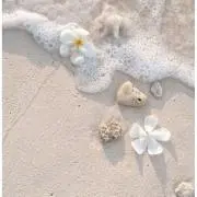 NANAの画像