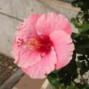 そら