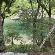 Image of ☘️ひかるん♪