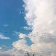 「しぐれ雨」の画像