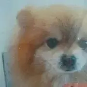ふぁたママ