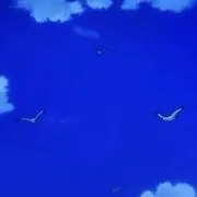 Rin♡の画像