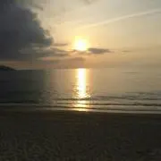 でーもんの画像