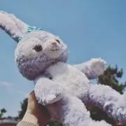 ちゃなの画像