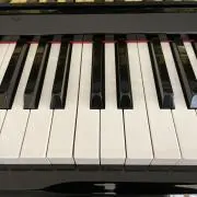 じゃすみん