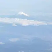 パパイヤ