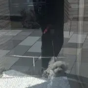 ♩