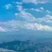 Pan 〈プロフ一読お願いします〉の画像